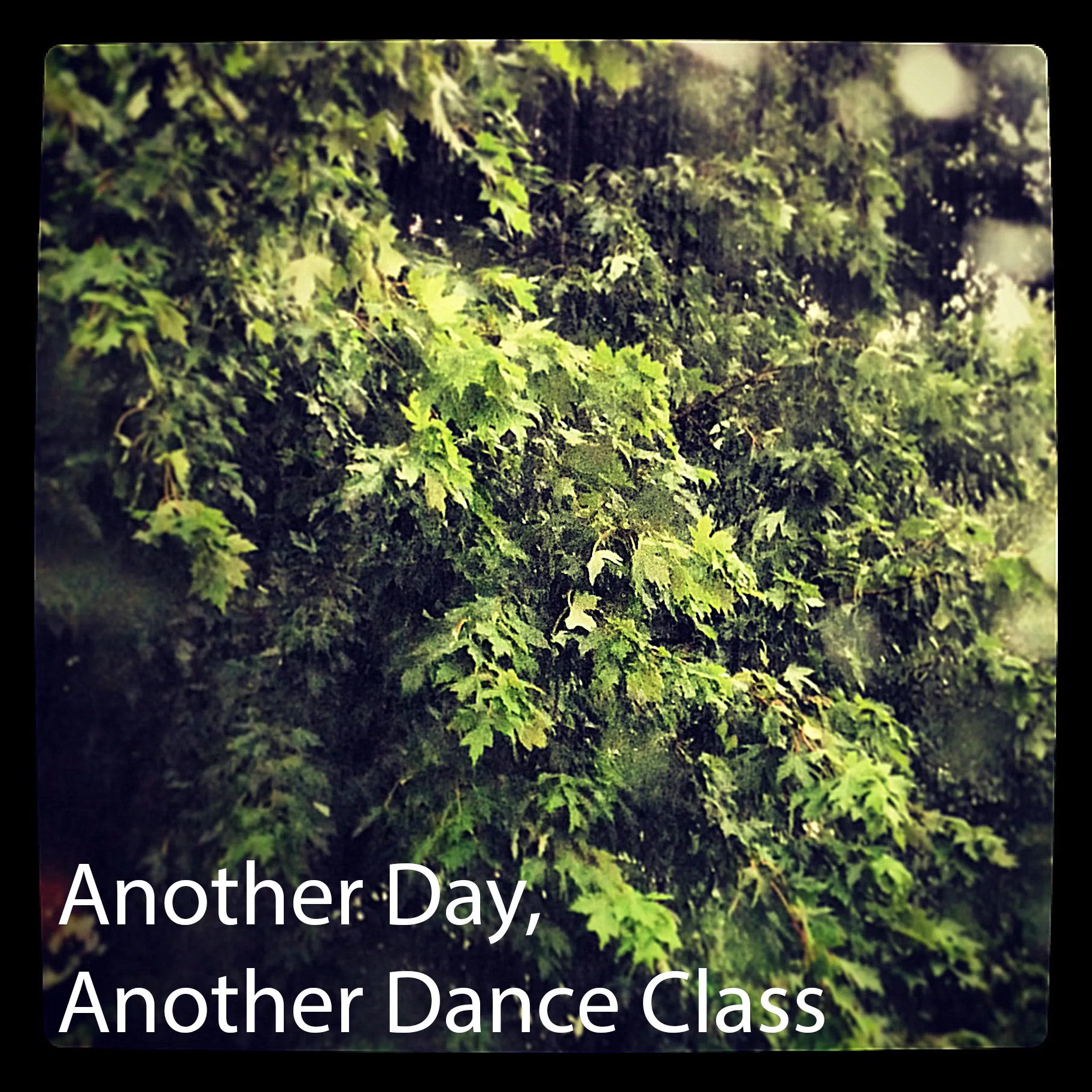 Album cover for Another Day Another Dance Class by Sound for Movement