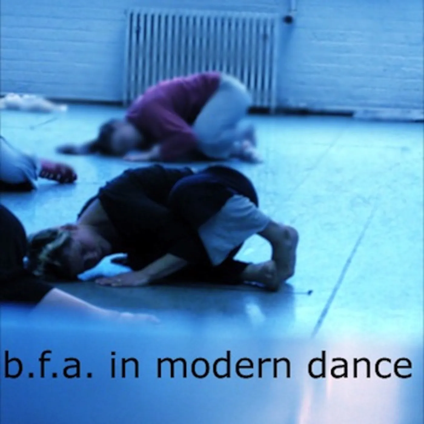 Album cover for BFA in Modern Dance by Sound for Movement