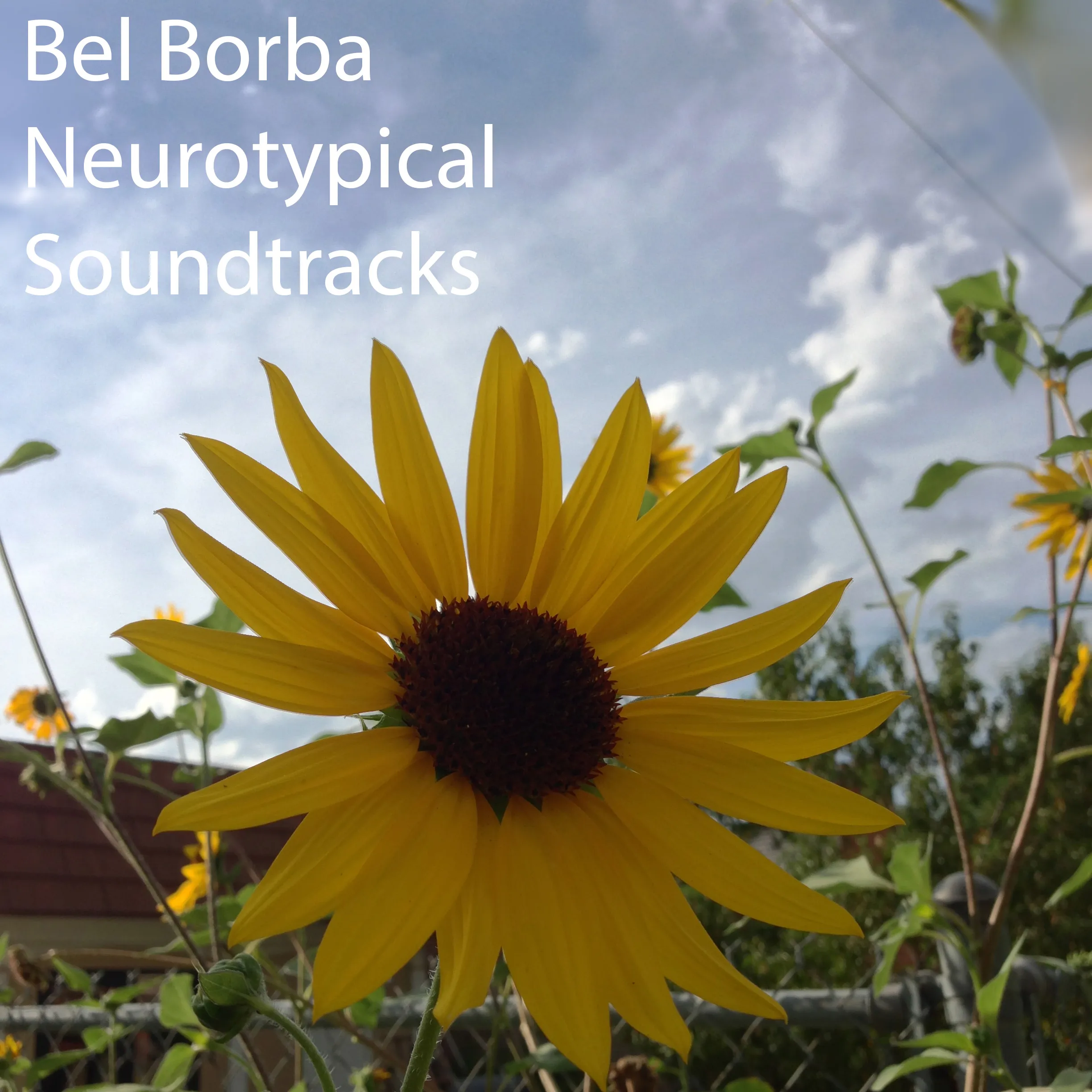 Album cover for Bel Borba and Neurotypical Soundtracks by Sound for Movement