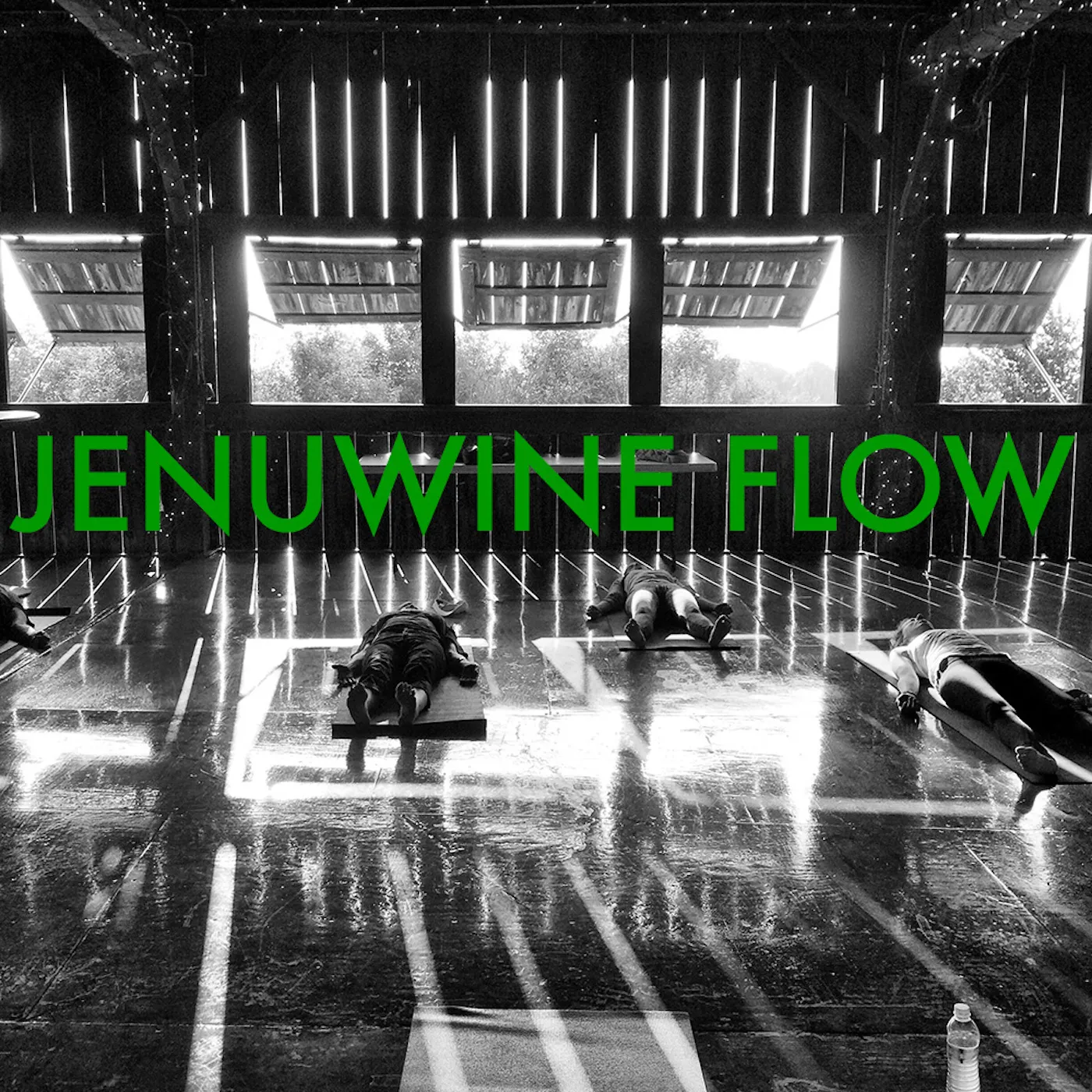 Album cover for Jenuwine Flow by Sound for Movement