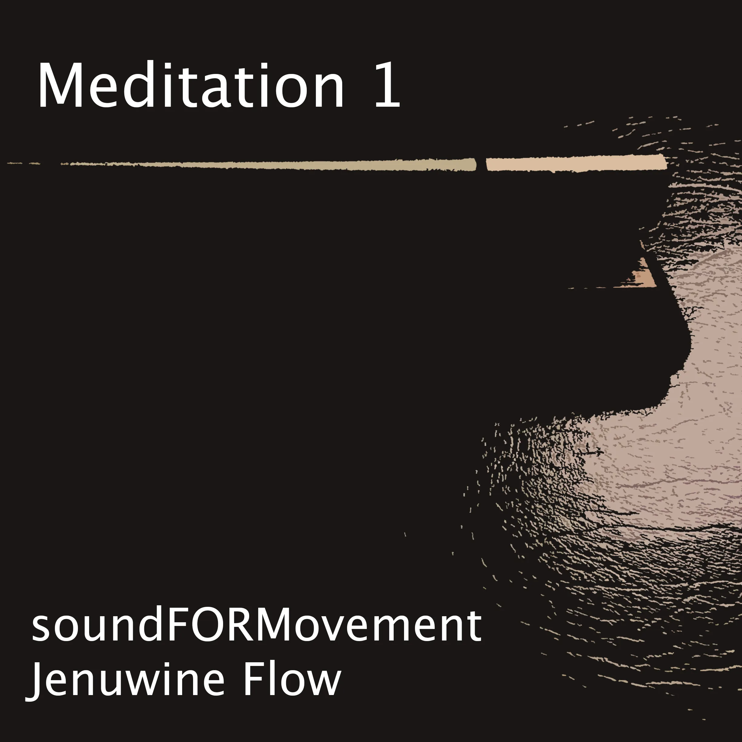 Album cover for Meditation 1 by Sound for Movement