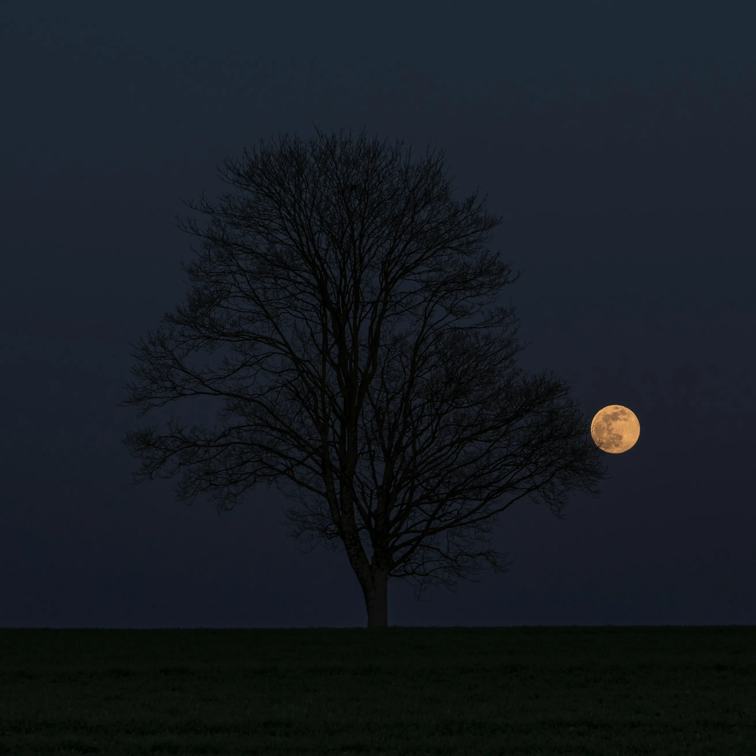 Album cover for Moonlight by Sound for Movement