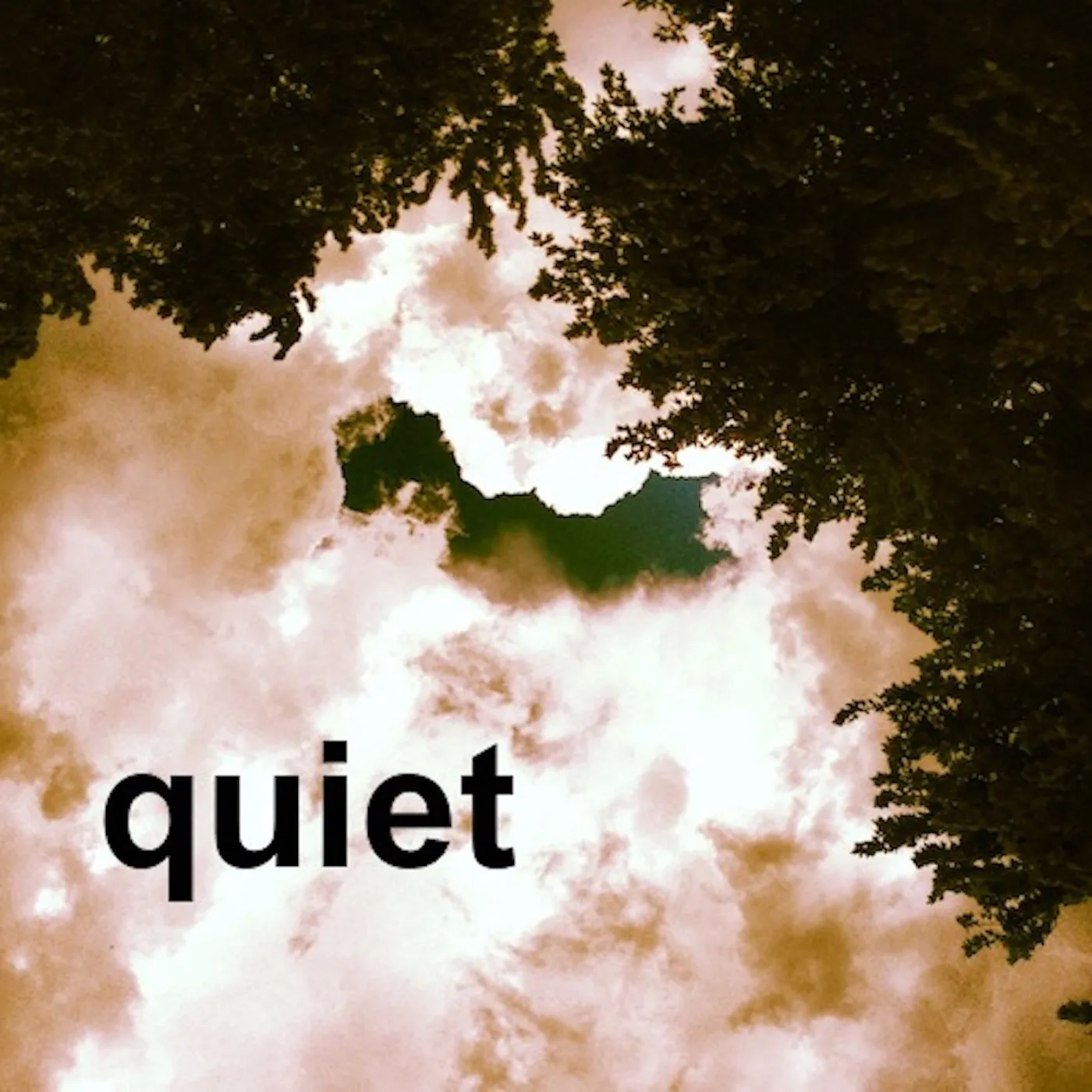 Album cover for Quiet by Sound for Movement